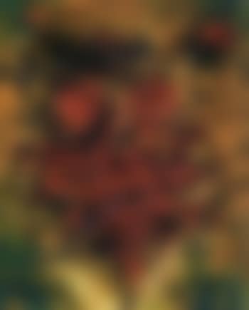 Composition (preview)