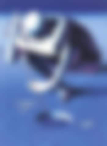 Fishing for bids (preview)
