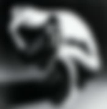 Between why and when (preview)
