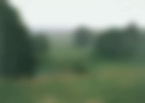 Buschdorf (preview)