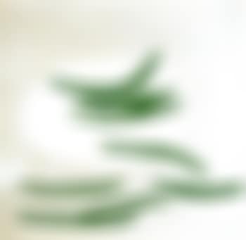 White on white with beans (preview)