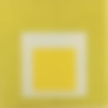 Homage to the square, obvious (preview)
