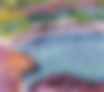 Lagoon, Koster (preview)