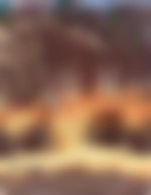 Spring landscape (preview)