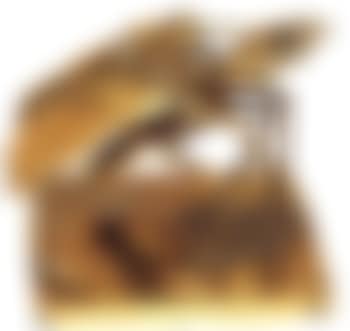Beetle (preview)