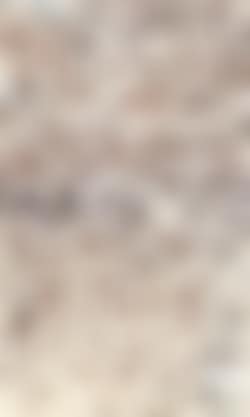 Untitled composition (preview)