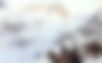 Morning of a new day (preview)