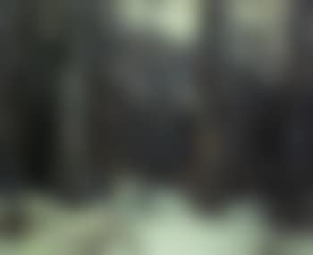 Forest silence (preview)