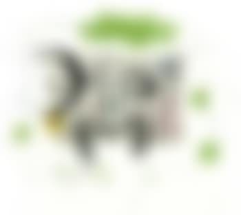 Fissures (preview)