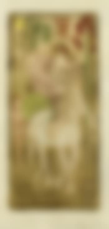 Circus rider (preview)