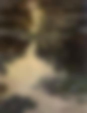 Nympheas (preview)