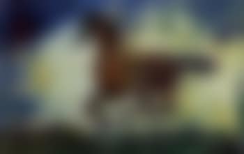 Whistle of a jacket (preview)