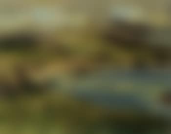 On the Atlantic drive, Co. Donegal (preview)