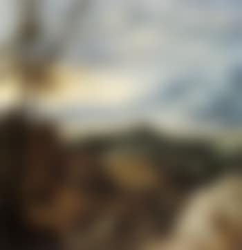 An extensive landscape with pine trees (preview)