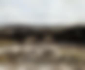 Landscape with haystacks (preview)