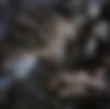 Pretext of accident (preview)