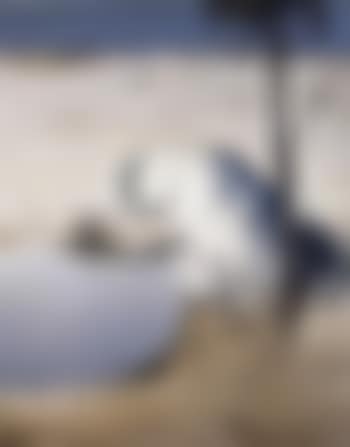 Figure by a round pond (preview)