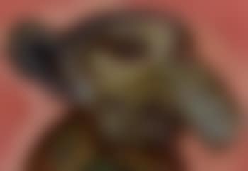 Midas (preview)