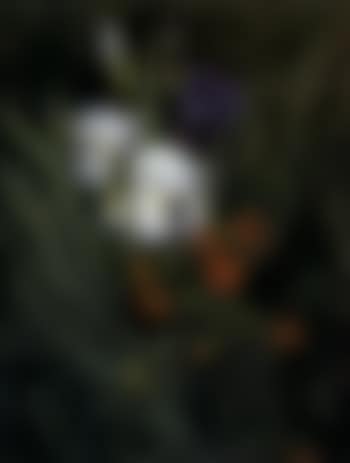 Still life of iris and wild roses (preview)