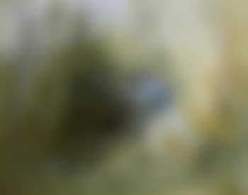 Nebuchadnezzar and figure (preview)