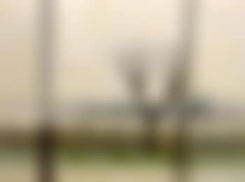 Wet evening (preview)