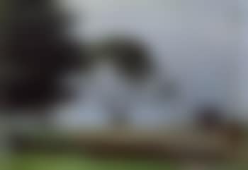 Autumn morning - early morning, Beaumaris (preview)