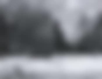 Logging on a bright winter's day (preview)
