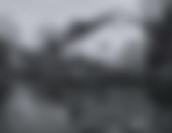 Village mill (preview)