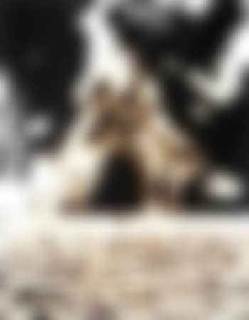 Action photo - from pictures of chocolate (preview)
