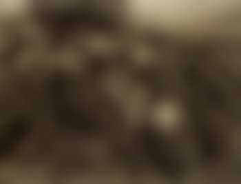 La vendange (preview)