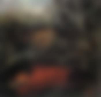Lost hunter (preview)