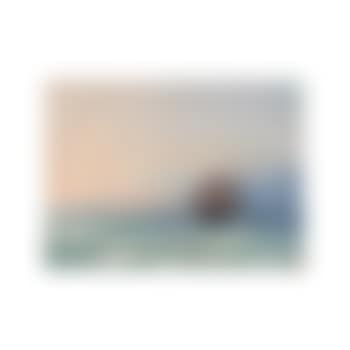 Shipping on the Black Sea (preview)