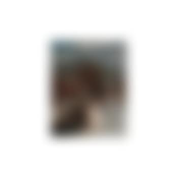 Spirit of winter (preview)