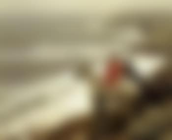 Gone to cliff (preview)