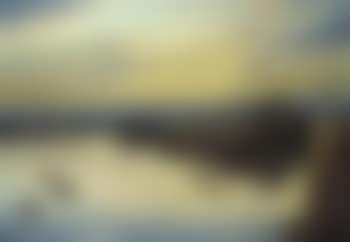 Mallard, teal and coot at Hickling (preview)