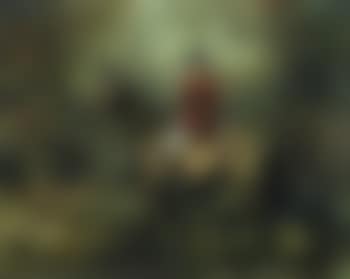 Whipper in (preview)