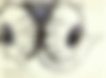 Many faceted compound eyes (preview)