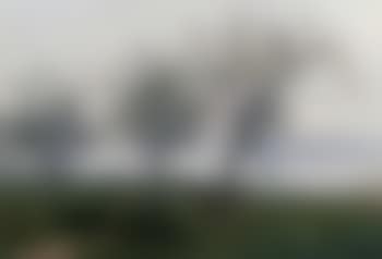 Returning home in evening (preview)