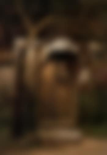 Farm scene with girl in doorway (preview)