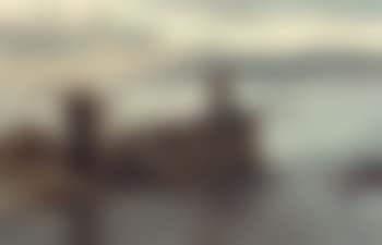 Collecting sea wrack (preview)