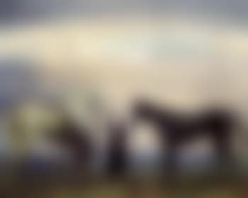 Changing horses (preview)