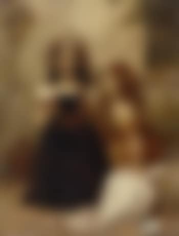 May queen (preview)