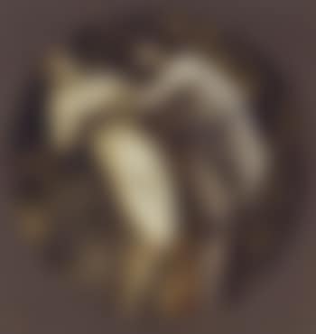 Orpheus and Eurydice (preview)