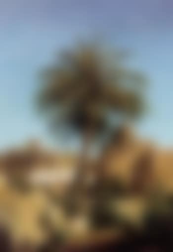 View from Southern Italy (preview)