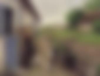 Small girl feeding chickens (preview)