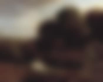 Moor on the outskirts of a wood (preview)