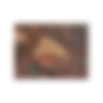 Study of a rock (preview)