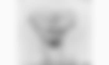 Auto-portrait en hibou (preview)