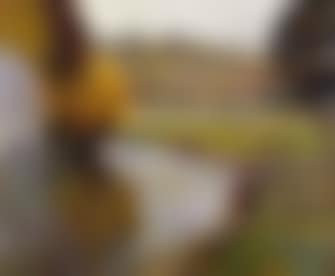 Paysage au bord de l'eau (preview)