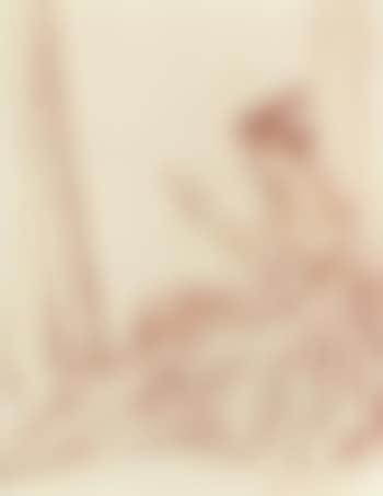 Cecilia, the earnest reader (preview)